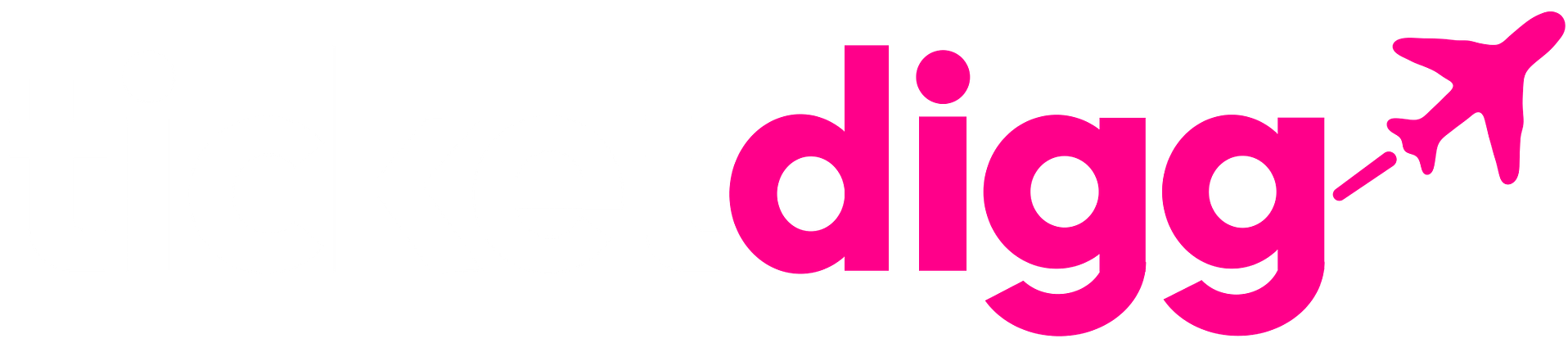 ticketdigg logo TicketDigg logo